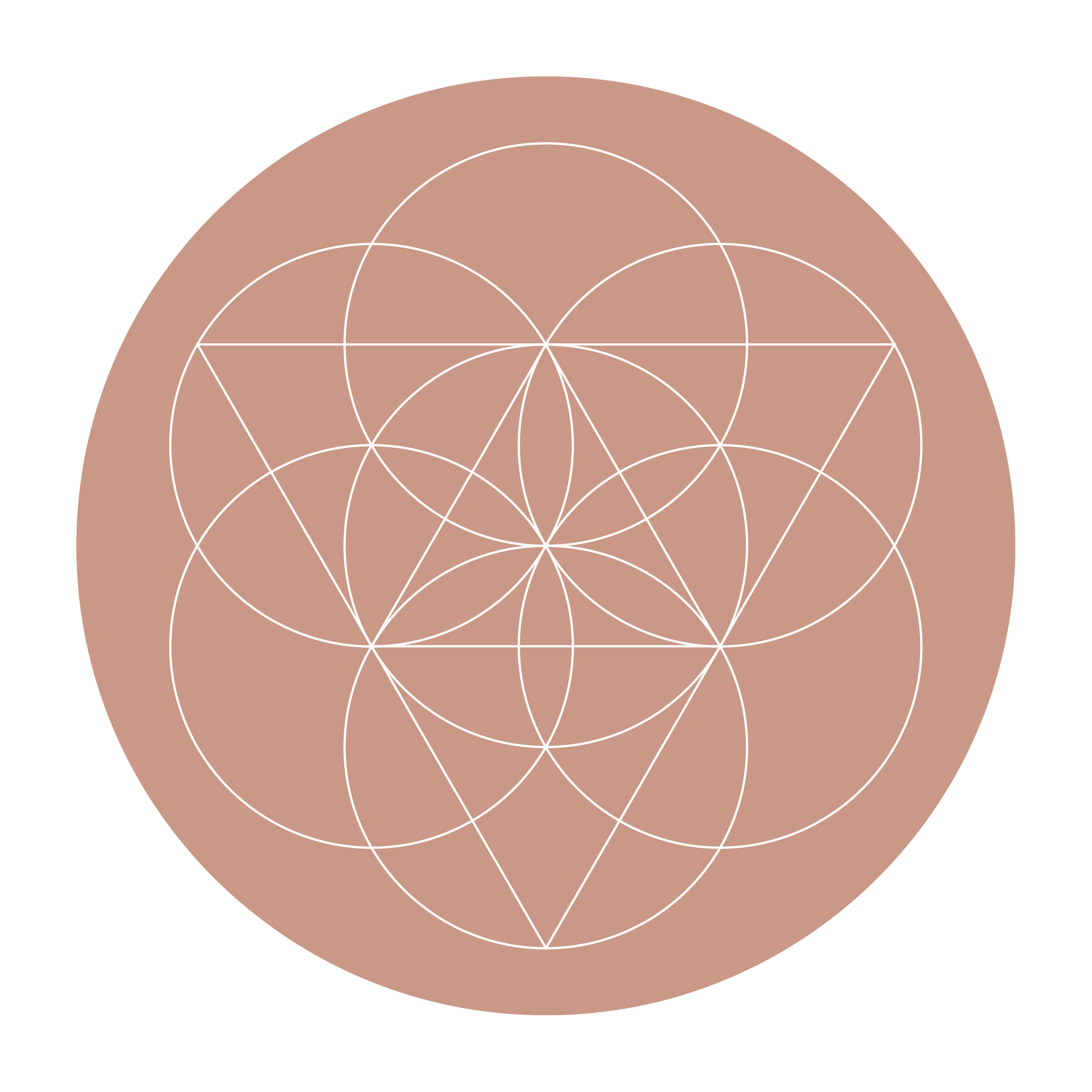 ASBC- Flower of Life roundel-pink